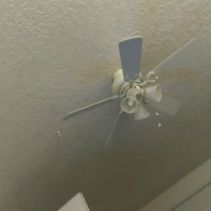 Meet your Posher, Shirley